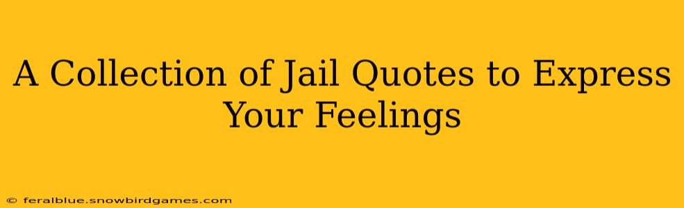 A Collection of Jail Quotes to Express Your Feelings