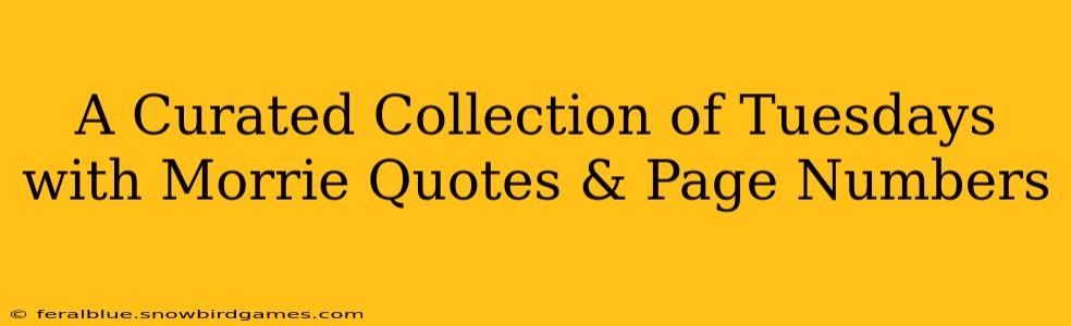 A Curated Collection of Tuesdays with Morrie Quotes & Page Numbers