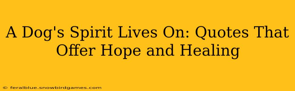 A Dog's Spirit Lives On: Quotes That Offer Hope and Healing