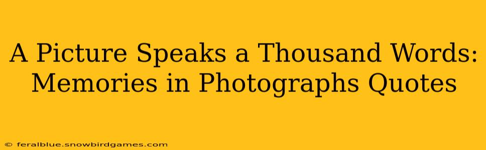 A Picture Speaks a Thousand Words: Memories in Photographs Quotes