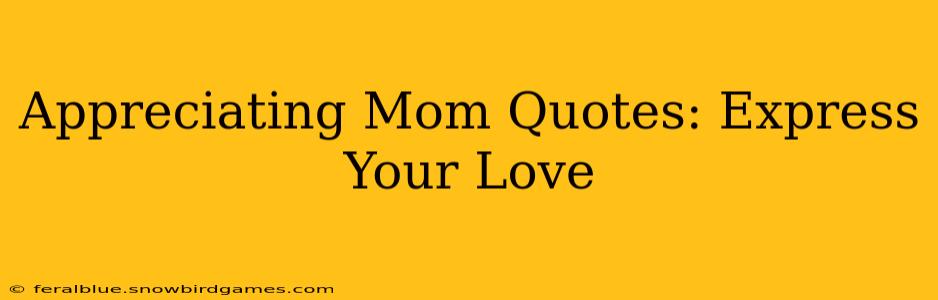 Appreciating Mom Quotes: Express Your Love