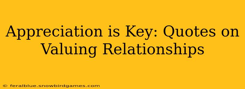 Appreciation is Key: Quotes on Valuing Relationships