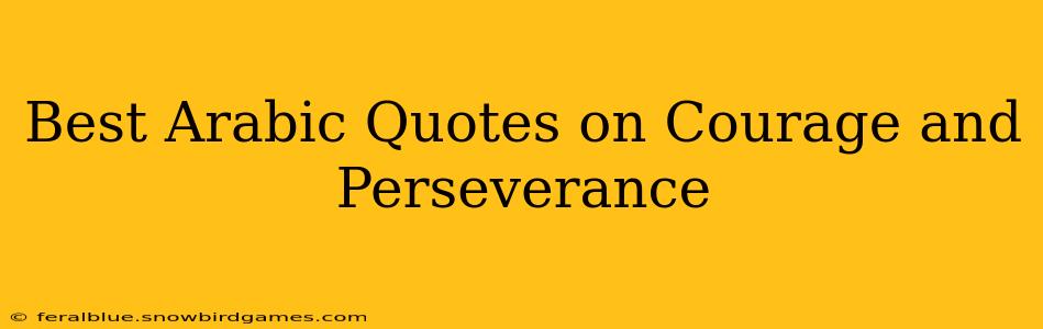 Best Arabic Quotes on Courage and Perseverance