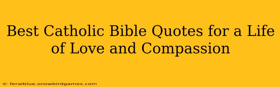 Best Catholic Bible Quotes for a Life of Love and Compassion