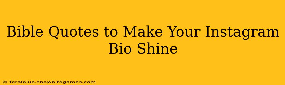 Bible Quotes to Make Your Instagram Bio Shine