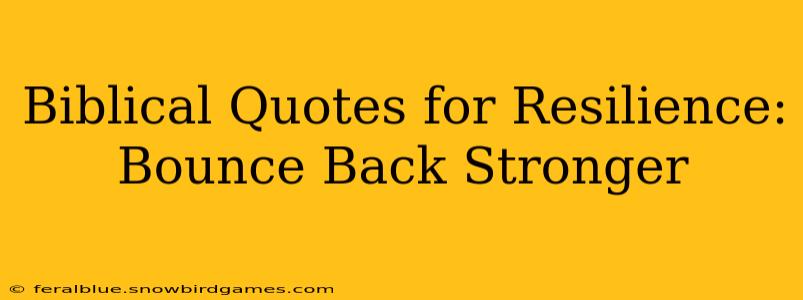 Biblical Quotes for Resilience: Bounce Back Stronger