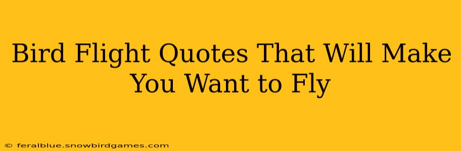 Bird Flight Quotes That Will Make You Want to Fly