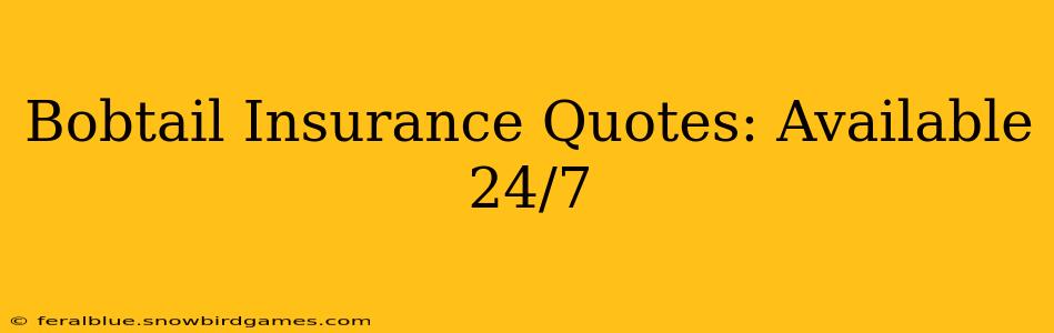 Bobtail Insurance Quotes: Available 24/7