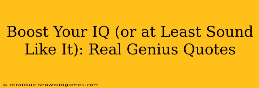 Boost Your IQ (or at Least Sound Like It): Real Genius Quotes