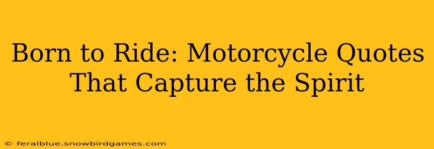 Born to Ride: Motorcycle Quotes That Capture the Spirit