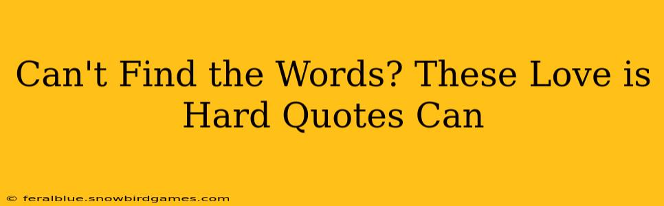 Can't Find the Words? These Love is Hard Quotes Can