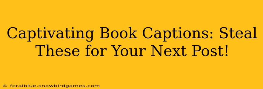 Captivating Book Captions: Steal These for Your Next Post!