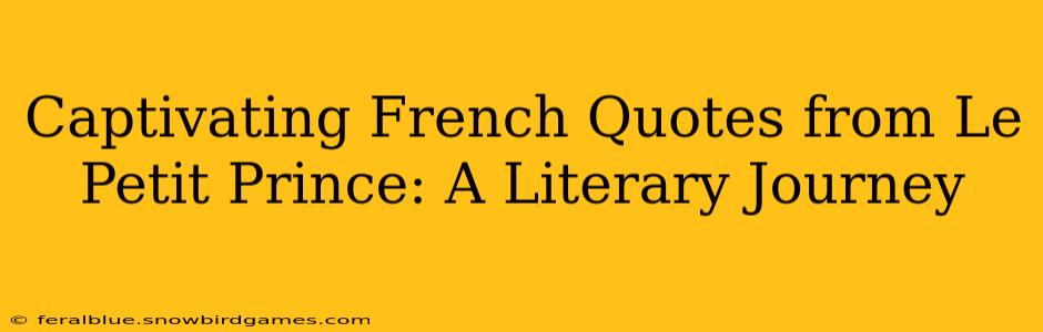 Captivating French Quotes from Le Petit Prince: A Literary Journey