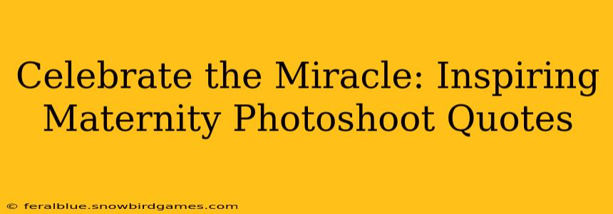 Celebrate the Miracle: Inspiring Maternity Photoshoot Quotes