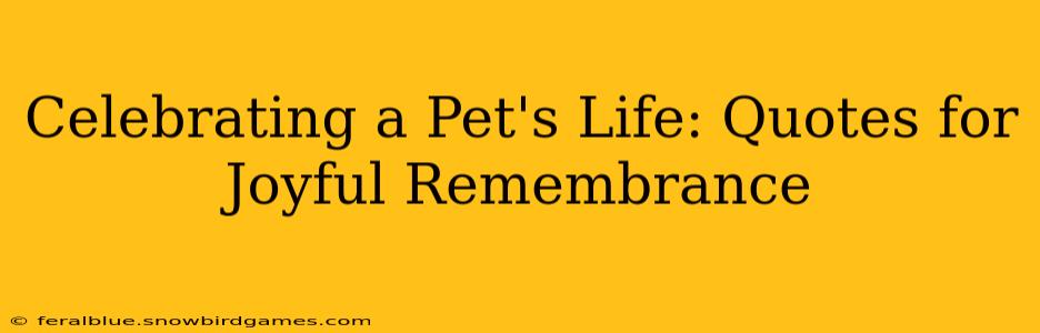 Celebrating a Pet's Life: Quotes for Joyful Remembrance
