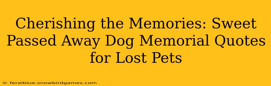 Cherishing the Memories: Sweet Passed Away Dog Memorial Quotes for Lost Pets