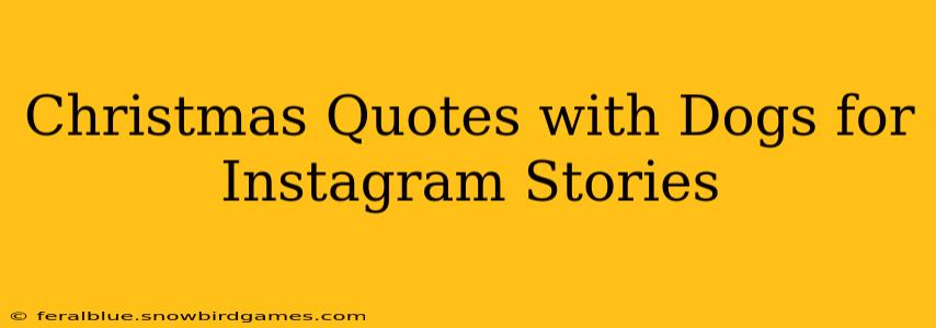 Christmas Quotes with Dogs for Instagram Stories