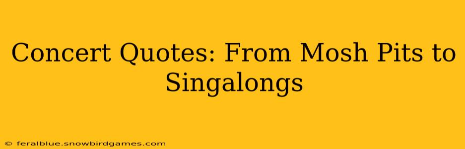 Concert Quotes: From Mosh Pits to Singalongs