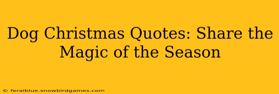 Dog Christmas Quotes: Share the Magic of the Season