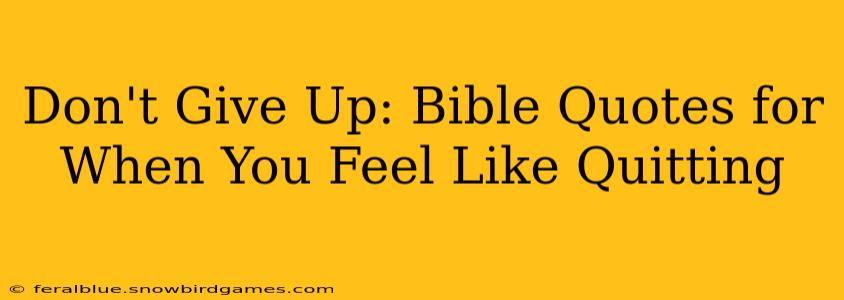 Don't Give Up: Bible Quotes for When You Feel Like Quitting