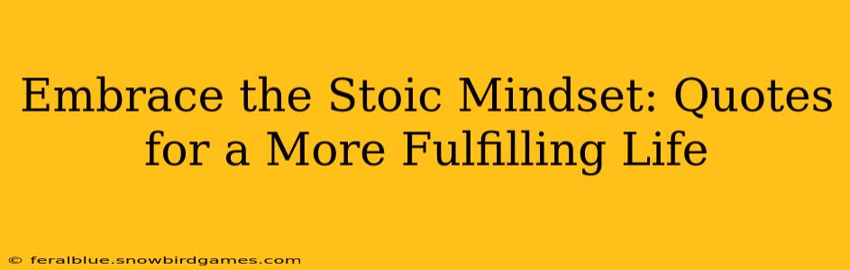 Embrace the Stoic Mindset: Quotes for a More Fulfilling Life