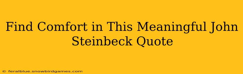 Find Comfort in This Meaningful John Steinbeck Quote