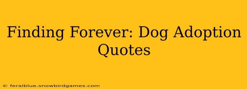 Finding Forever: Dog Adoption Quotes