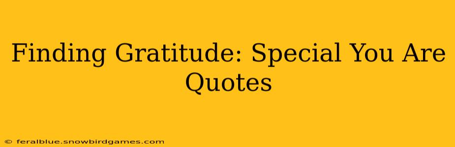 Finding Gratitude: Special You Are Quotes