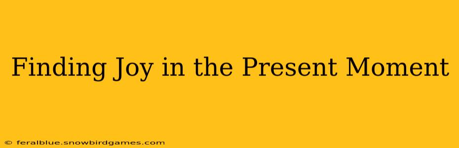 Finding Joy in the Present Moment