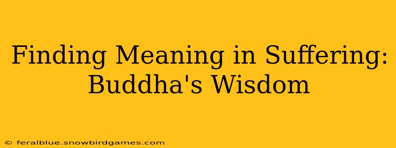 Finding Meaning in Suffering: Buddha's Wisdom
