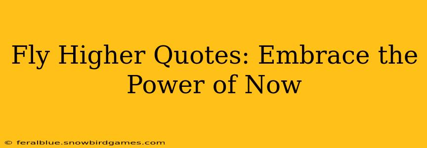Fly Higher Quotes: Embrace the Power of Now
