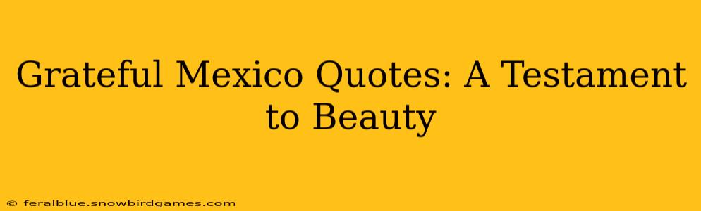 Grateful Mexico Quotes: A Testament to Beauty