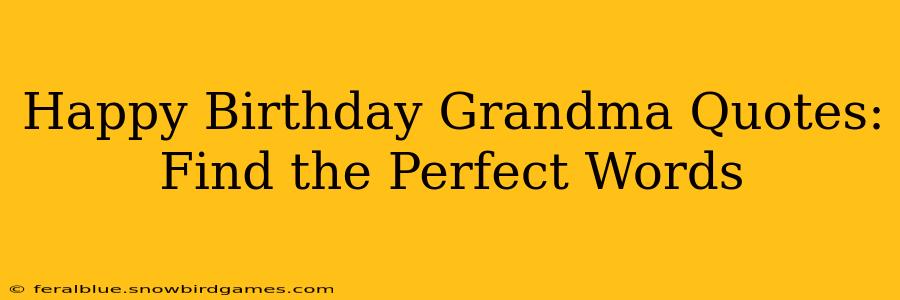 Happy Birthday Grandma Quotes: Find the Perfect Words