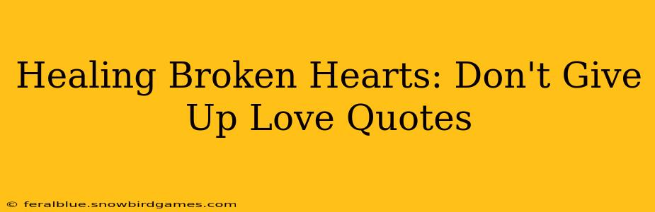 Healing Broken Hearts: Don't Give Up Love Quotes