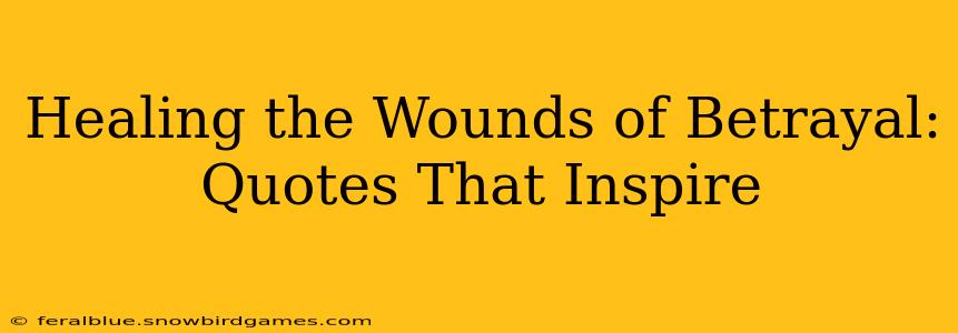 Healing the Wounds of Betrayal: Quotes That Inspire