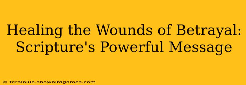 Healing the Wounds of Betrayal: Scripture's Powerful Message