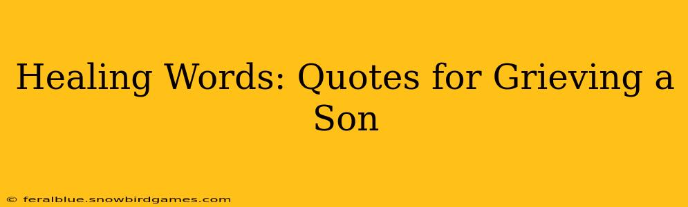 Healing Words: Quotes for Grieving a Son