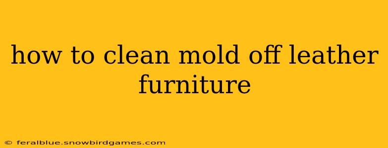 how to clean mold off leather furniture
