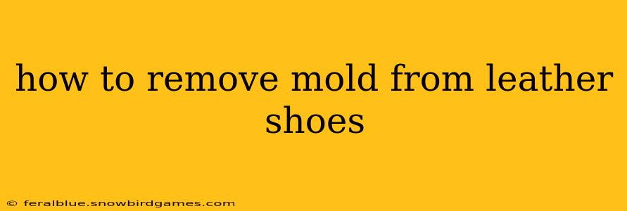 how to remove mold from leather shoes