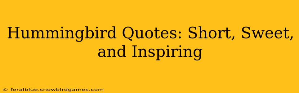 Hummingbird Quotes: Short, Sweet, and Inspiring