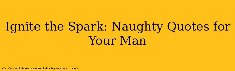 Ignite the Spark: Naughty Quotes for Your Man Ignite the Spark: Naughty Quotes for Your Man