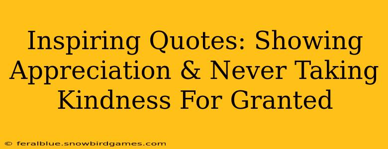 Inspiring Quotes: Showing Appreciation & Never Taking Kindness For Granted