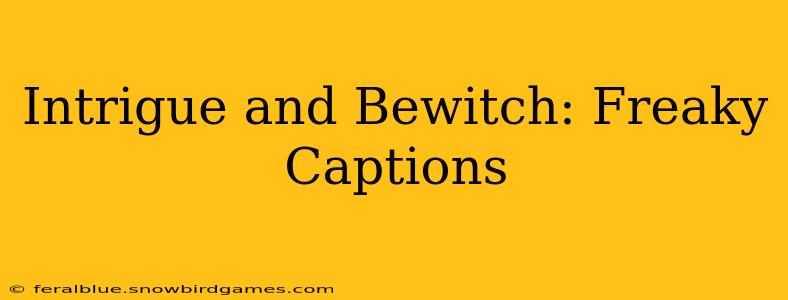 Intrigue and Bewitch: Freaky Captions
