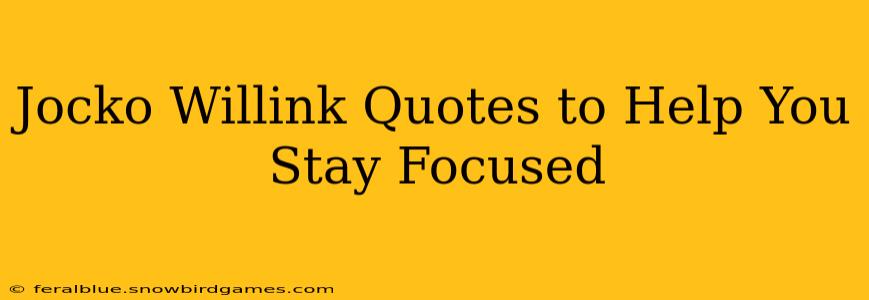 Jocko Willink Quotes to Help You Stay Focused