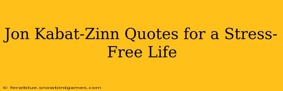 Jon Kabat-Zinn Quotes for a Stress-Free Life