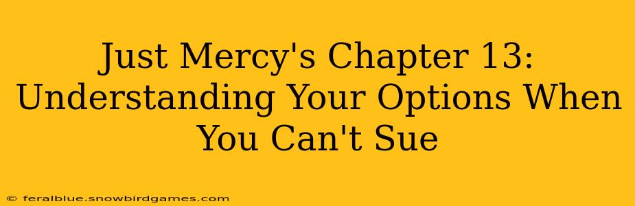 Just Mercy's Chapter 13: Understanding Your Options When You Can't Sue