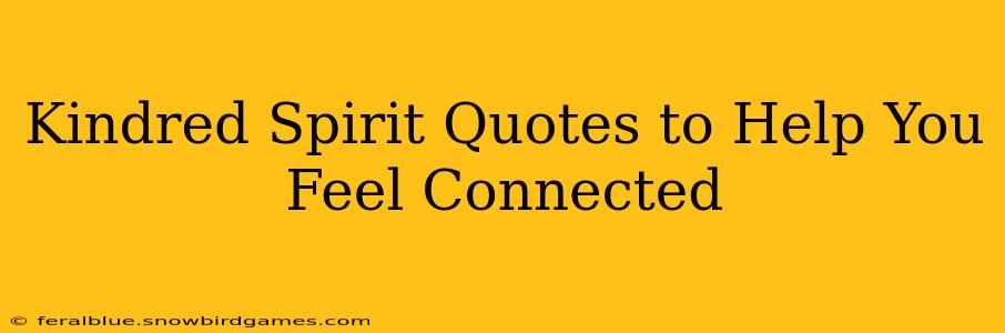 Kindred Spirit Quotes to Help You Feel Connected