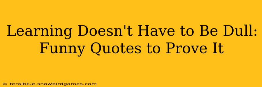 Learning Doesn't Have to Be Dull: Funny Quotes to Prove It