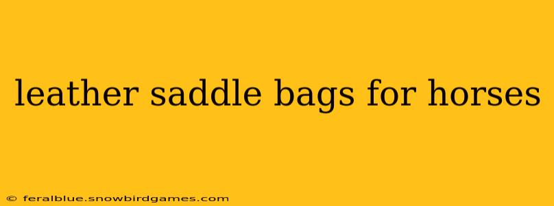 leather saddle bags for horses