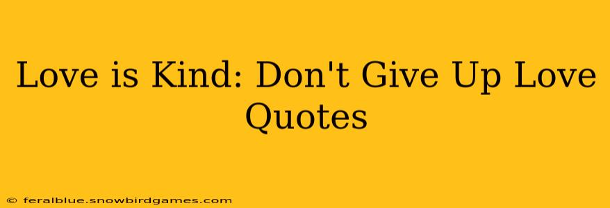 Love is Kind: Don't Give Up Love Quotes